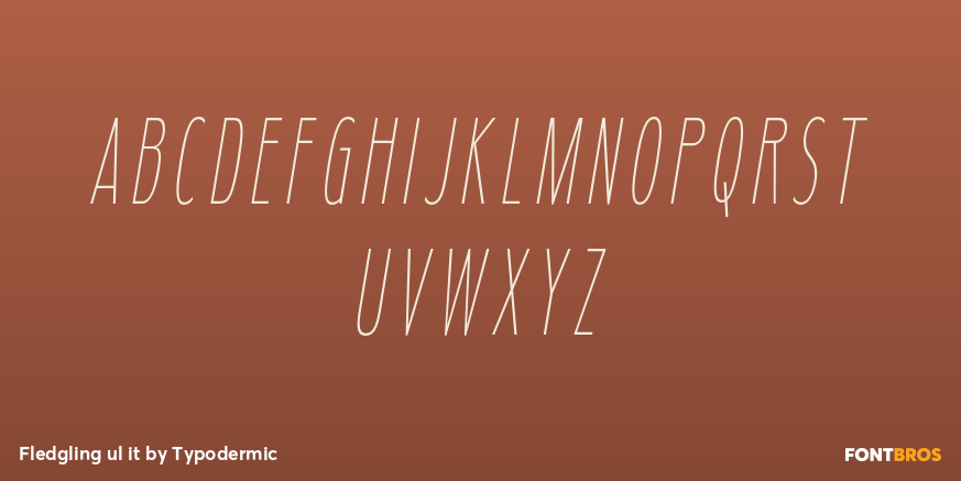 Fledgling ul it Font Poster #1