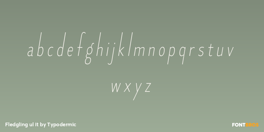 Fledgling ul it Font Poster #1