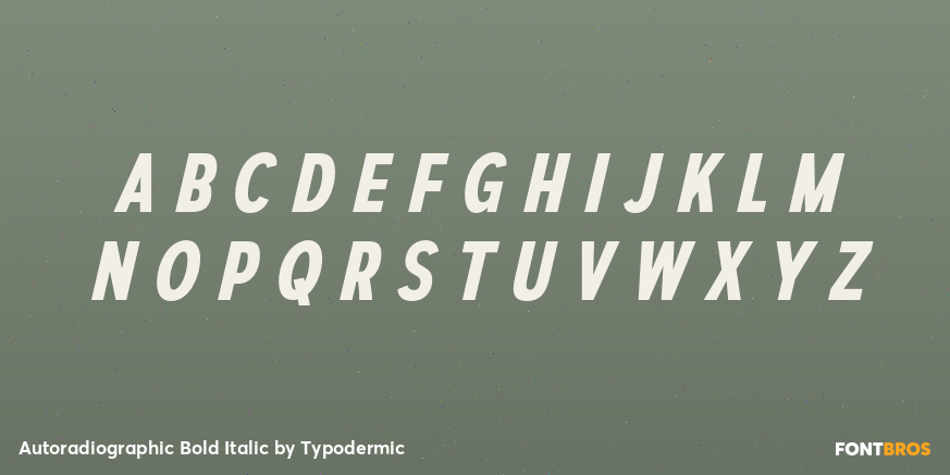 Autoradiographic Bold Italic Font Poster #2
