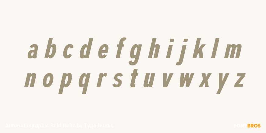 Autoradiographic Bold Italic Font Poster #3