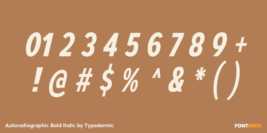 Autoradiographic Bold Italic Font Poster #4