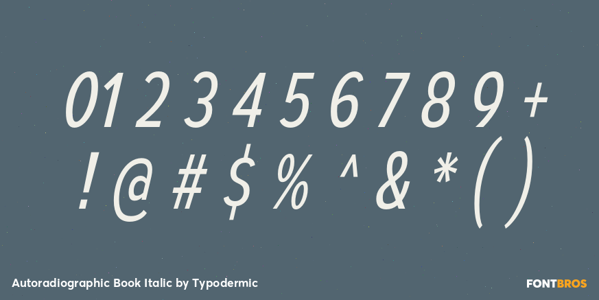 Autoradiographic Book Italic Font Poster #1
