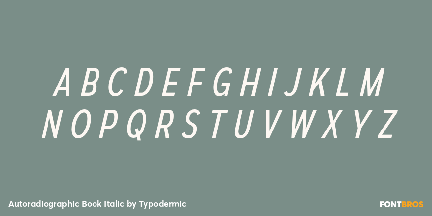 Autoradiographic Book Italic Font Poster #2