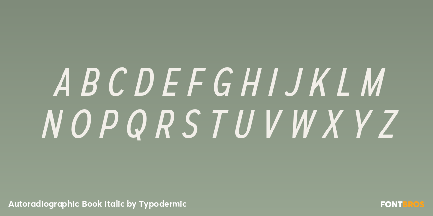 Autoradiographic Book Italic Font Poster #1