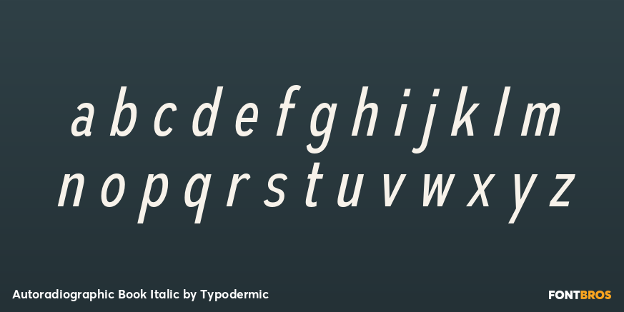 Autoradiographic Book Italic Font Poster #1