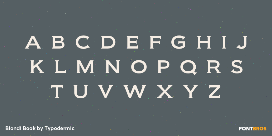 Biondi Book Font Poster #3