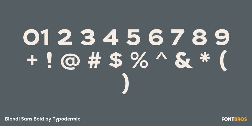 Biondi Sans Bold Font Poster #1
