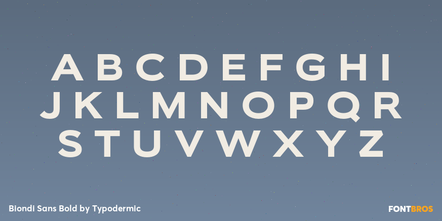 Biondi Sans Bold Font Poster #1