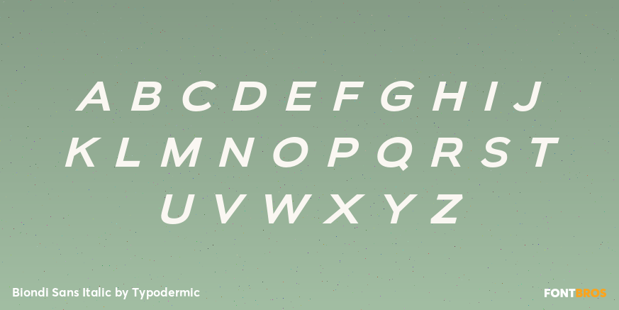 Biondi Sans Italic Font Poster #3
