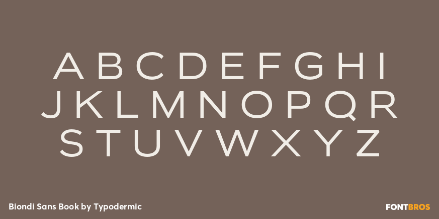 Biondi Sans Book Font Poster #1
