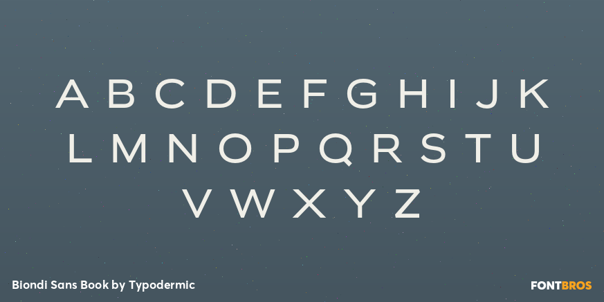 Biondi Sans Book Font Poster #1