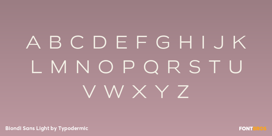 Biondi Sans Light Font Poster #3