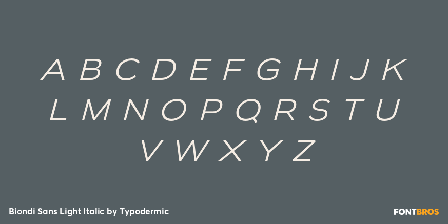 Biondi Sans Light Italic Font Poster #1