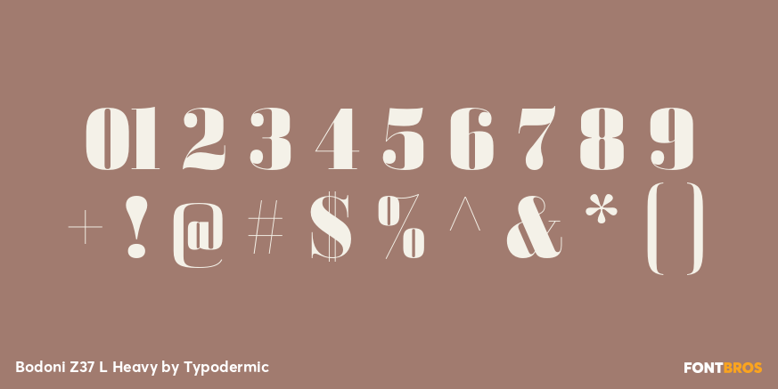 Bodoni Z37 L Heavy Font Poster #4