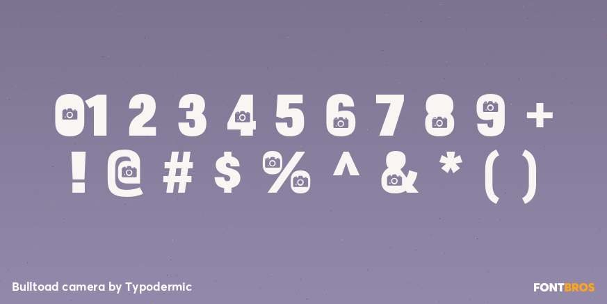 Bulltoad camera Font Poster #1