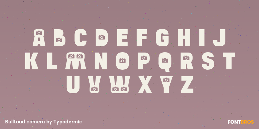 Bulltoad camera Font Poster #1