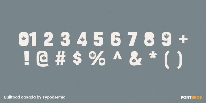 Bulltoad canada Font Poster #4