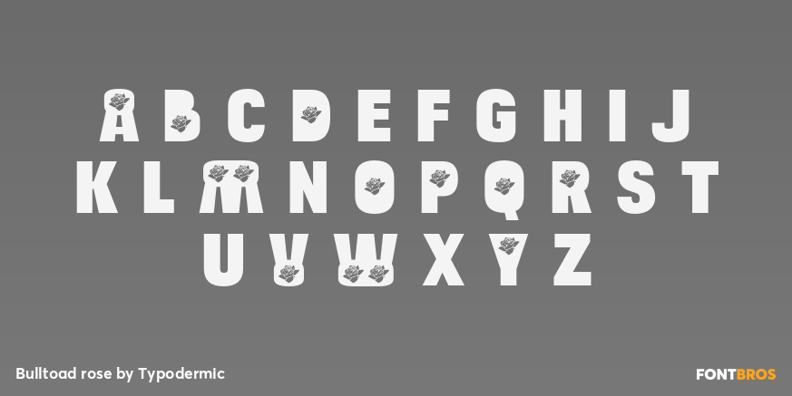Bulltoad rose Font Poster #3