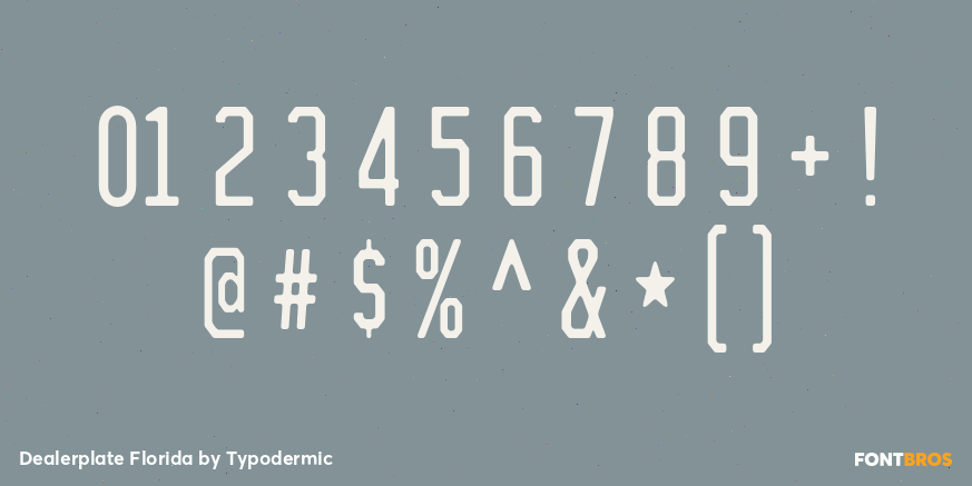 Dealerplate Florida Font Poster #1