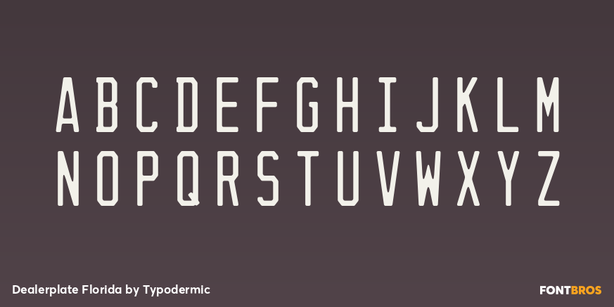 Dealerplate Florida Font Poster #3