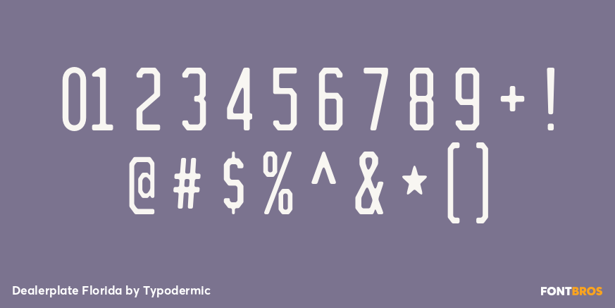 Dealerplate Florida Font Poster #4