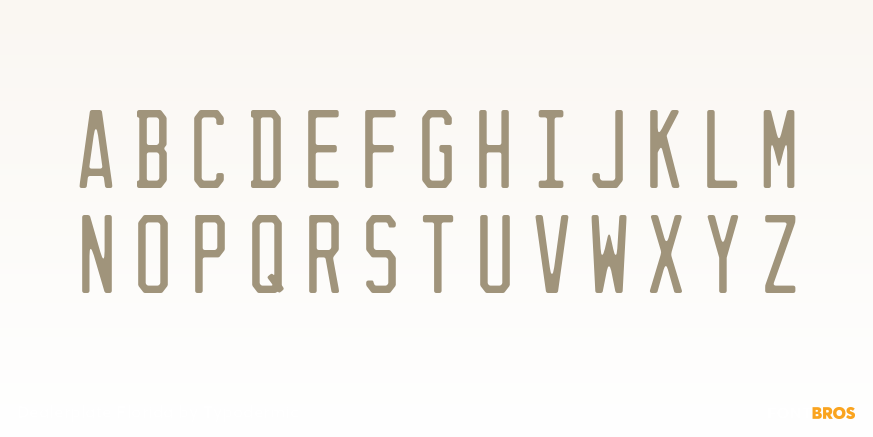 Dealerplate Florida Font Poster #1