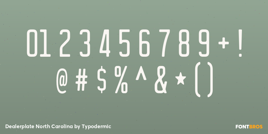 Dealerplate North Carolina Font Poster #1