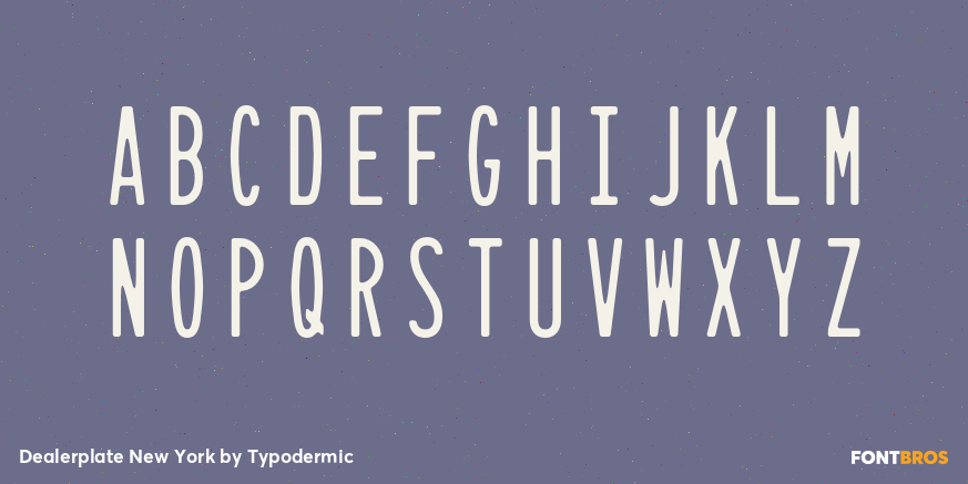 Dealerplate New York Font Poster #2