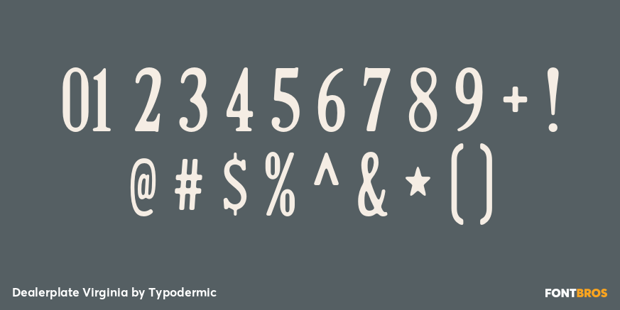 Dealerplate Virginia Font Poster #1