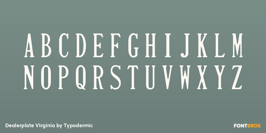 Dealerplate Virginia Font Poster #1