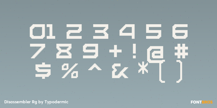 Disassembler Rg Font Poster #4