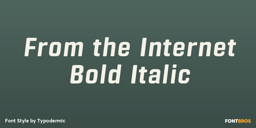 From the Internet Bold Italic Font Poster #1