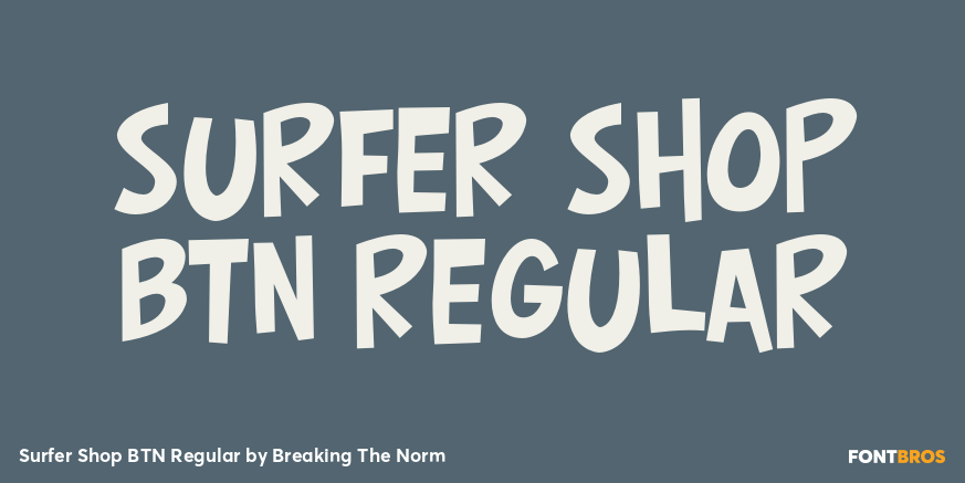 Surfer Shop BTN Regular Poster