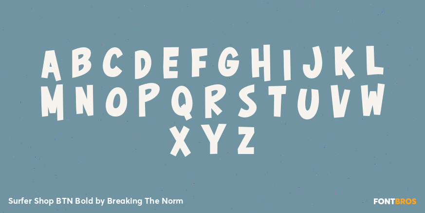 Surfer Shop BTN Bold Font Poster #3