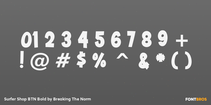 Surfer Shop BTN Bold Font Poster #4