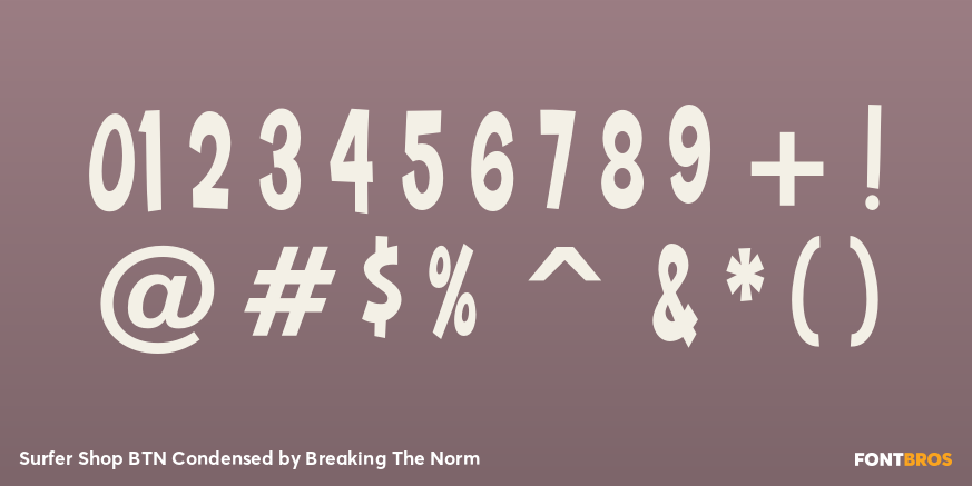 Surfer Shop BTN Condensed Font Poster #4