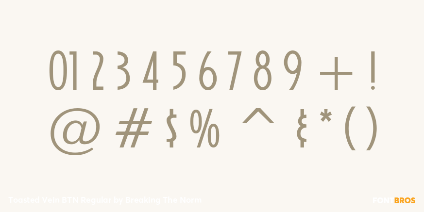 Toasted Vein BTN Regular Font Poster #4