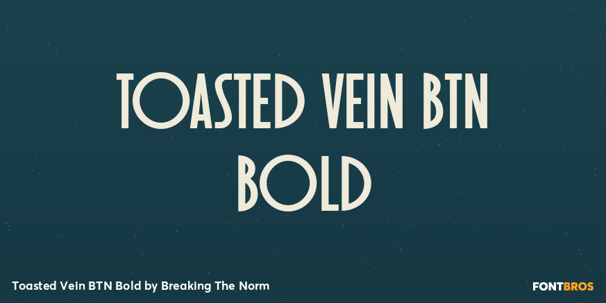 Toasted Vein BTN Bold Font Poster #1