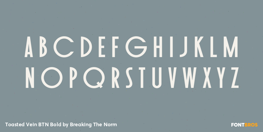 Toasted Vein BTN Bold Font Poster #2
