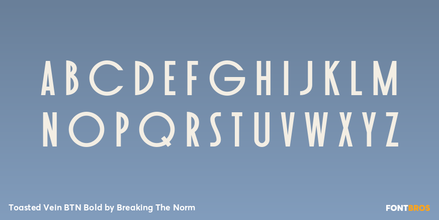 Toasted Vein BTN Bold Font Poster #3