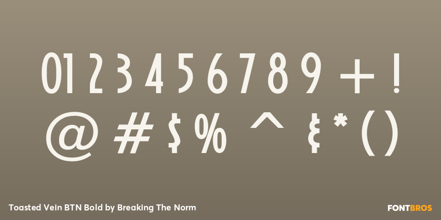 Toasted Vein BTN Bold Font Poster #4