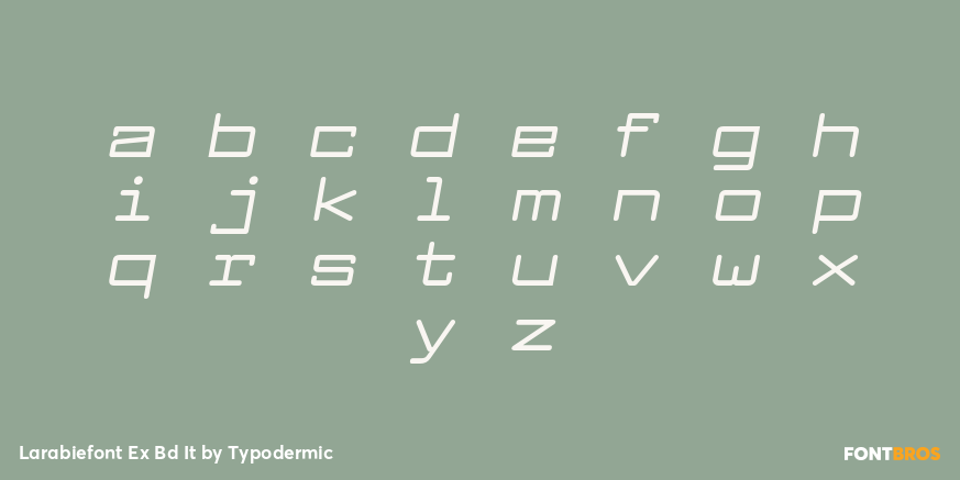 Larabiefont Ex Bd It Font Poster #3