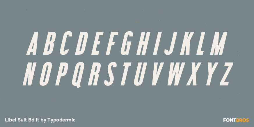 Libel Suit Bd It Font Poster #2