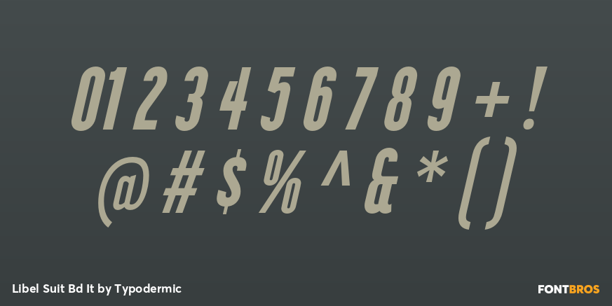 Libel Suit Bd It Font Poster #4