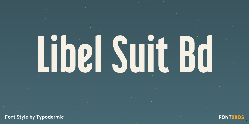 Libel Suit Bd Font Poster #1