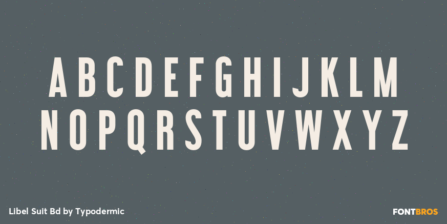 Libel Suit Bd Font Poster #2