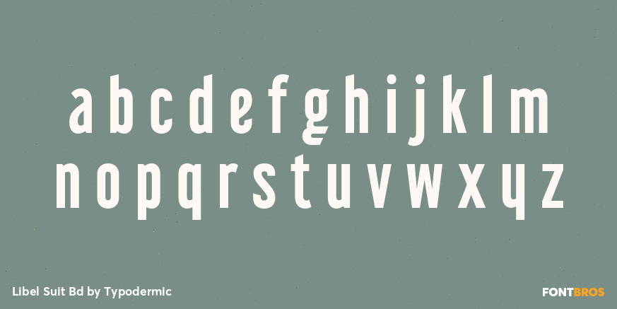 Libel Suit Bd Font Poster #3