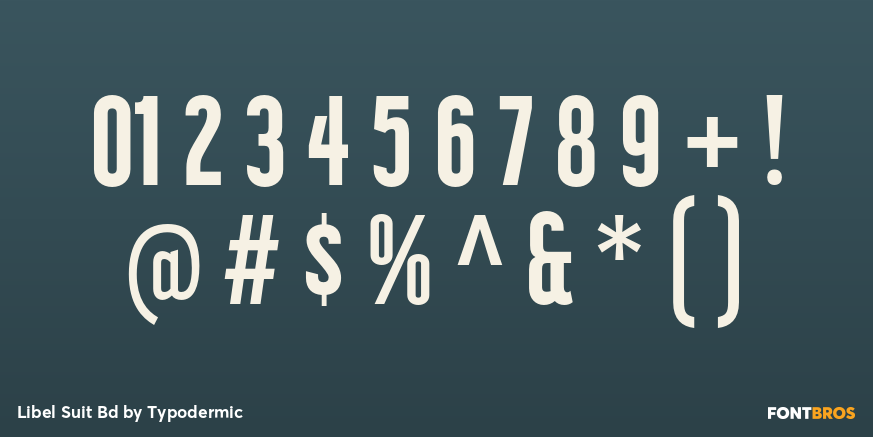 Libel Suit Bd Font Poster #4