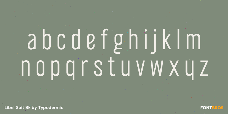 Libel Suit Bk Font Poster #1