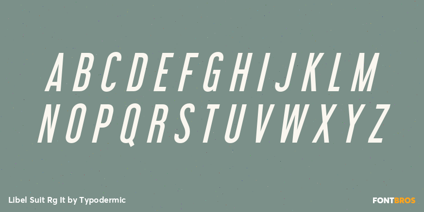 Libel Suit Rg It Font Poster #1